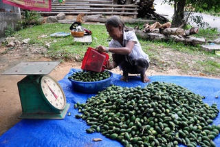 Chiêu trò của thương lái nước ngoài