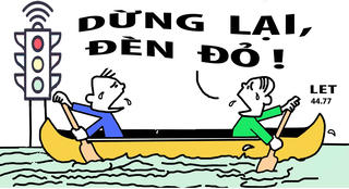 Giải trí (19/6)