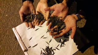 Đồng Nai: Tái diễn tình trạng rải đinh trên Quốc  lộ 51