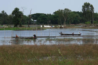 Đìu hiu mùa nước nổi