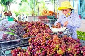 Đưa đặc sản lên tàu Tết