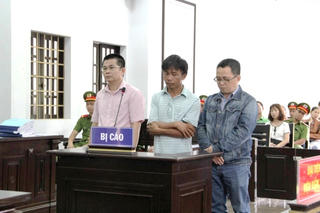 Y án 4 năm 6 tháng tù giam đối với ông Trần Minh Lợi