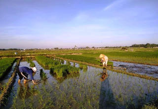 Thanh Hóa: Người dân đang phải ‘oằn mình trong chảo lửa’