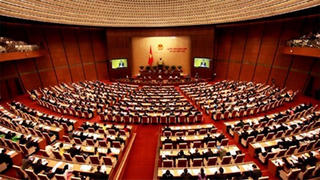 Quyết tâm hành động