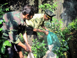 Thả 7 cá thể động vật hoang dã về Vườn Quốc gia Hoàng Liên