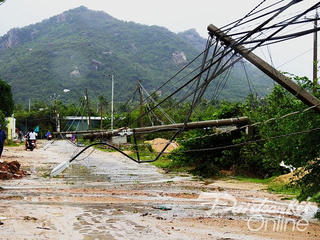 Khánh Hòa: La liệt sau bão số 12