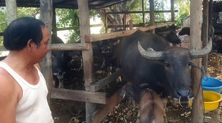 Những tấm gương sáng ở Cư Đrăm