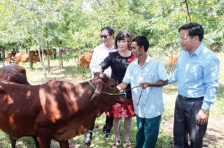 Ninh Thuận: Triển khai nhiều hoạt động hỗ trợ cho hộ nghèo