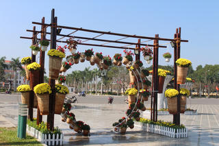 Quảng Nam: Các sản phẩm nhà nông đem trưng bày ở Tam Kỳ dịp Tết