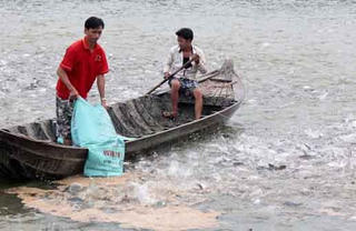 Cá tra vẫn mờ mịt đường bơi
