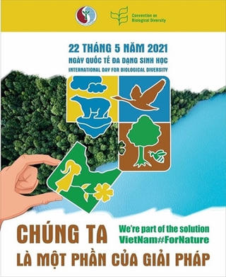 Hàng loạt địa phương hưởng ứng Tháng hành động vì môi trường gắn với phòng, chống dịch Covid-19