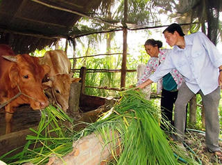 Hậu Giang: Những nỗ lực thoát nghèo