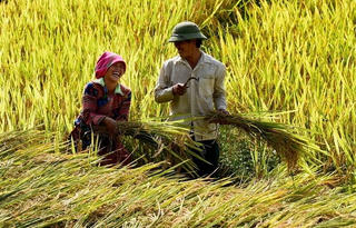 Giữ gìn, phát huy giá trị gia đình truyền thống