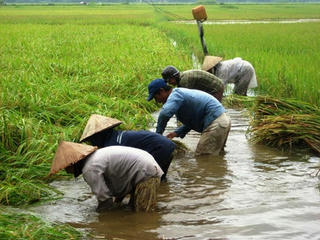 Quảng Ngãi: 3 tỷ đồng cho công tác phòng chống thiên tai