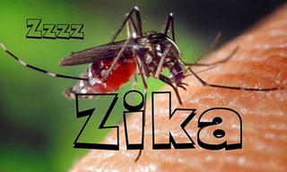 200 mẫu bệnh phẩm xét nghiệm virus Zika ở Việt Nam đều âm tính