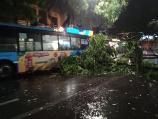 Hà Nội: Cơn 'giải nhiệt' khiến cây đổ, đường thành sông