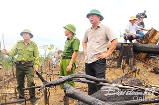 Vụ 'Tan hoang rừng phòng hộ': Đã khởi tố, bắt giam bị can