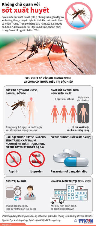 [Infographics] Hơn 67.400 ca mắc sốt xuất huyết trong 9 tháng