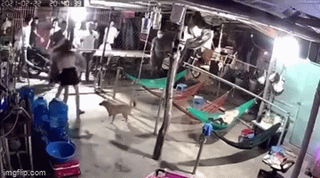 Thót tim cảnh nhóm đòi nợ đánh hội đồng cô gái