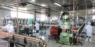 Động lực tăng trưởng