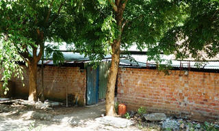 Khốn khổ vì trại heo bốc mùi hôi thối