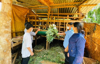 Đắk Nông: Hiệu quả mô hình '5 Đảng viên giúp một hộ dân thoát nghèo'