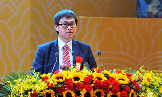 Những bông hoa trong rừng hoa đẹp