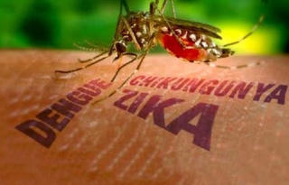 Từ thông tin bệnh nhân Hàn Quốc nhiễm virus Zika tại Việt Nam: Tiếp tục cảnh giác với dịch bệnh