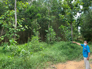 Đồng Nai: Ban hành khung giá rừng mới với mức cao nhất là trên 1,3 tỷ đồng/ha