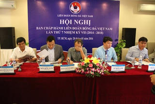 VFF 'rắn mất đầu', ai chịu trách nhiệm?