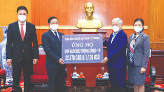 Kiều bào thích ứng và đồng hành cùng đất nước