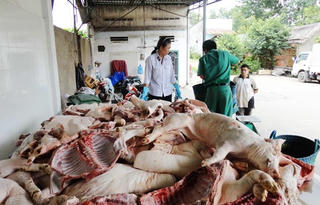 Mối đe dọa từ thực phẩm bẩn