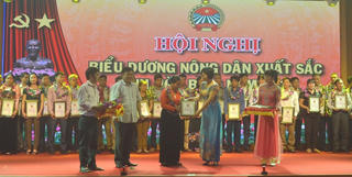 Tôn vinh những nông dân xuất sắc trong phát triển kinh tế