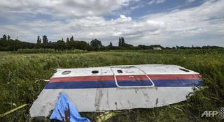 Xung quanh kết luận tên lửa BUK bắn rơi máy bay MH17