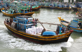 Từ 1/4, cấm khai thác hải sản đặc sản trên biển Bình Thuận
