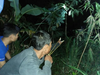 Sông Bồ không bình yên