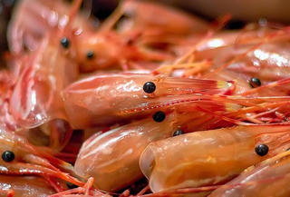 Dầu gội đầu làm từ vỏ tôm