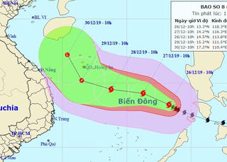 Khẩn trương ứng phó cơn bão số 8