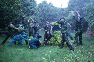 Nghệ thuật múa: Lan tỏa thông điệp về phòng, chống dịch