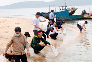 Quảng Ninh: Thả gần 500 nghìn con tôm, cá giống
