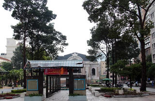 TP HCM: Dự kiến chặt 70 cây cổ thụ thi công tuyến Metro số 1