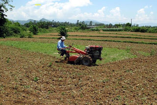 Khiếu kiện đất đai và cách giải quyết