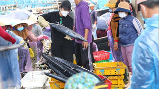 Trở lại Lý Sơn