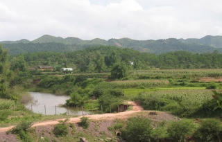 Bình yên Tú Mịch