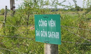 Bỏ hoang dự án ngàn tỷ