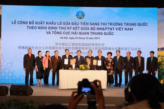 Lô hàng sữa đầu tiên xuất sang Trung Quốc: Bước ngoặt của ngành nông nghiệp