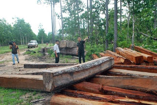 Gia Lai: Phát hiện một bãi tập kết gỗ trái phép