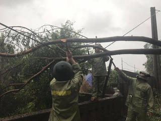 Quảng Bình: Mưa lớn diện rộng, gió bắt đầu giật mạnh