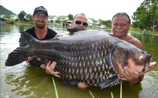Cá chép khổng lồ nặng hơn 1 tạ