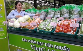 Săn lùng thực phẩm sạch